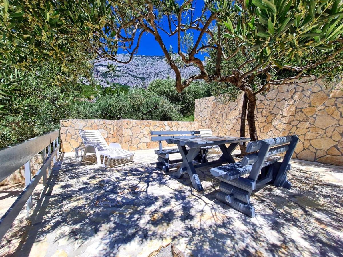 Vila Maslina Apartments Mit Pool Und Garten Nahe Am Strand Tučepi Exterior foto